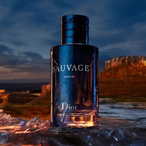 30 ml dior sauvage parfum|dior sauvage lowest price.